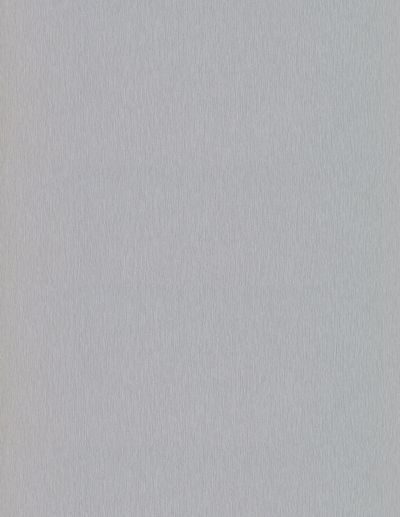 Brushed Steel 1011