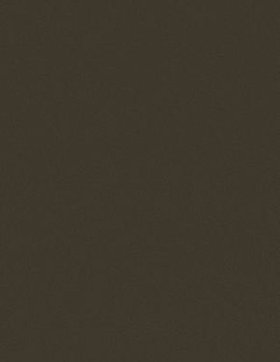 Dark Bronze 1205