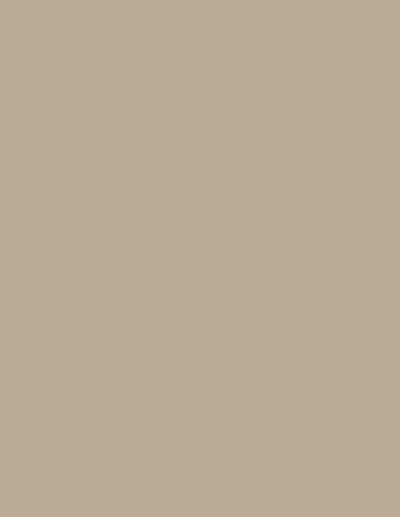 Brushed Brass 1223