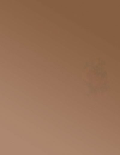 Copper Patina 1253