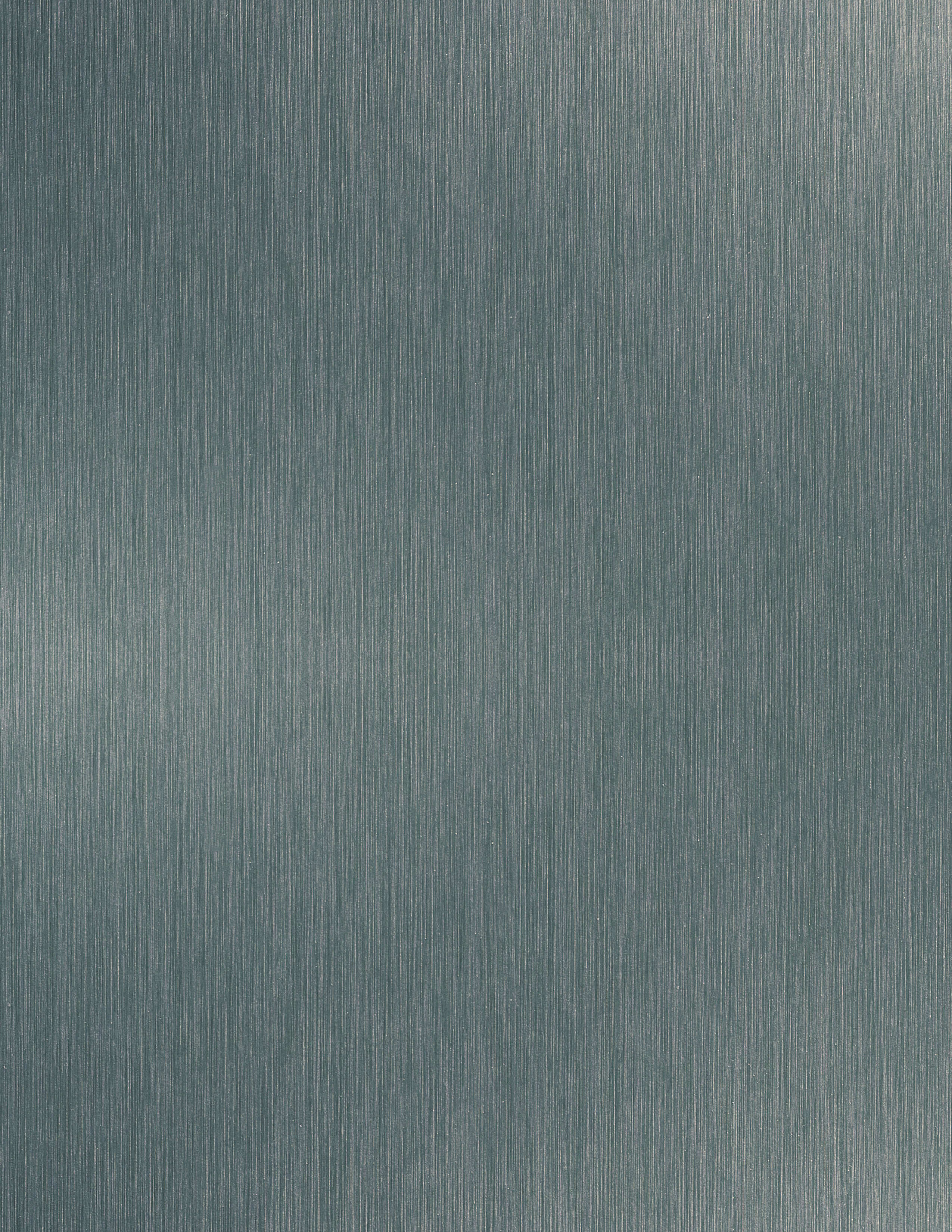 1009 Brushed Aluminum