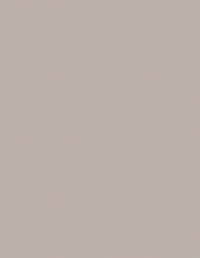 Warm Taupe 1178