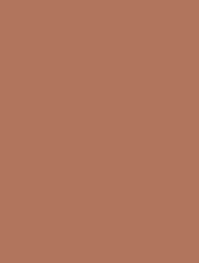 Brick 1260