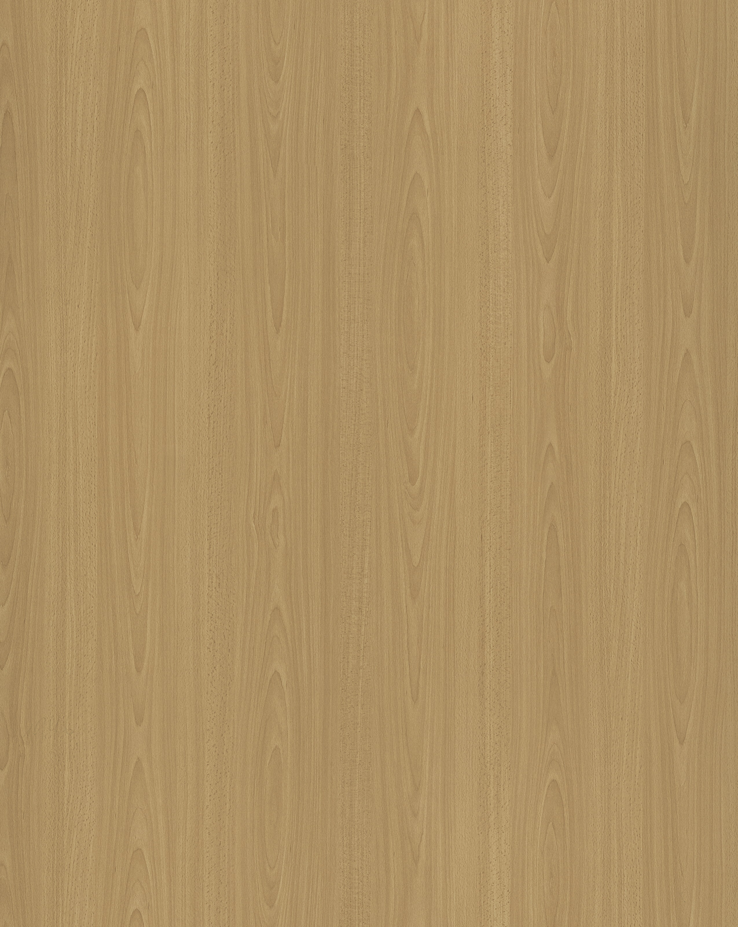 Beech F512