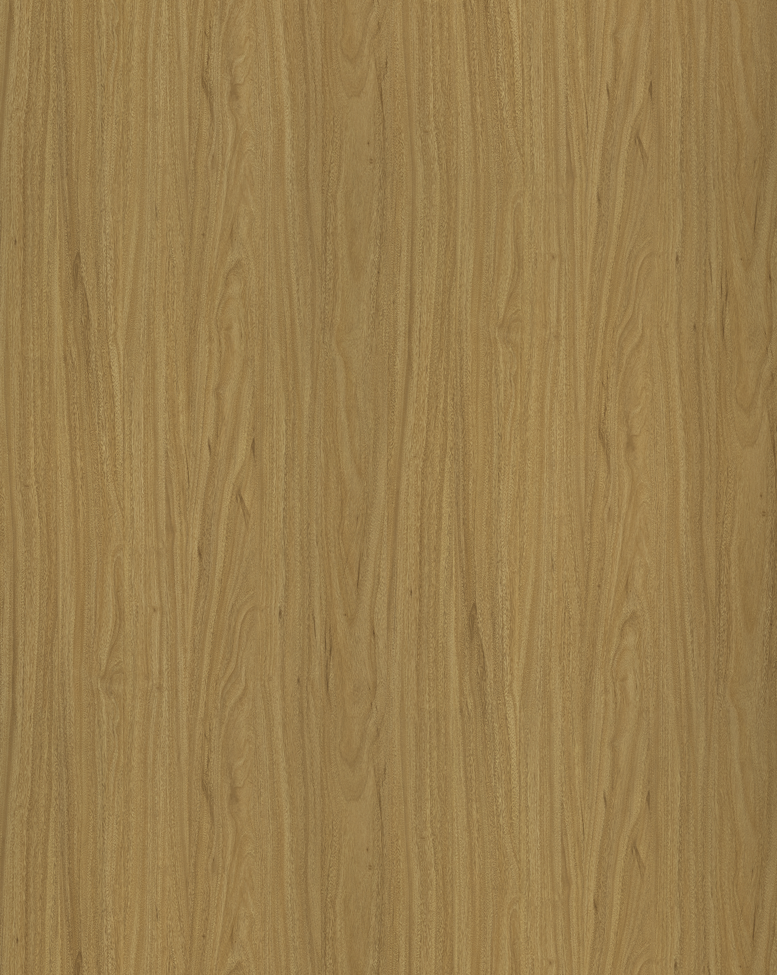 Flower Oak F522