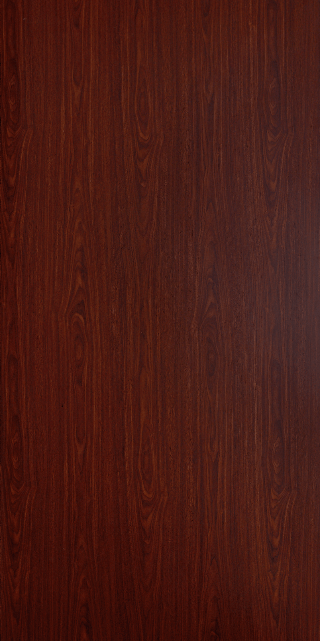 Cedar F531