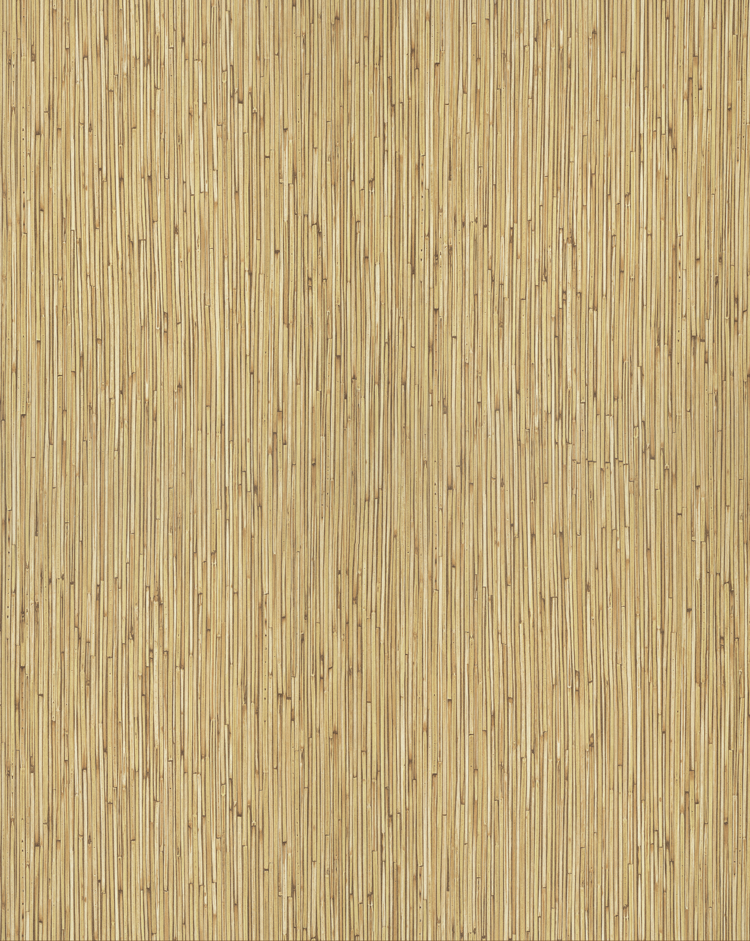 Bamboo F550