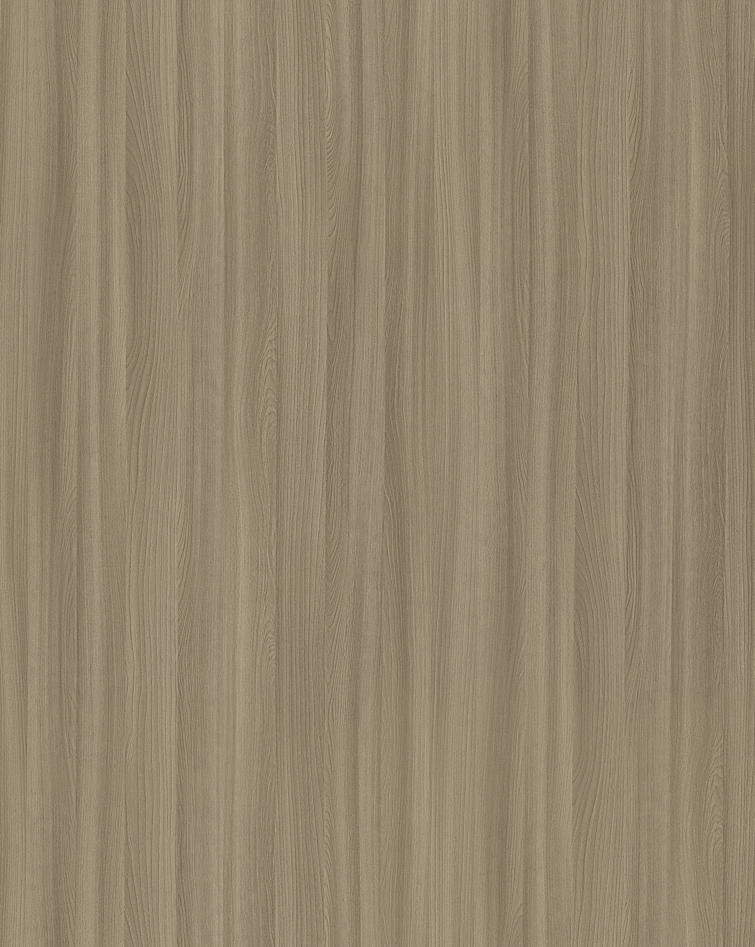 Olive F570