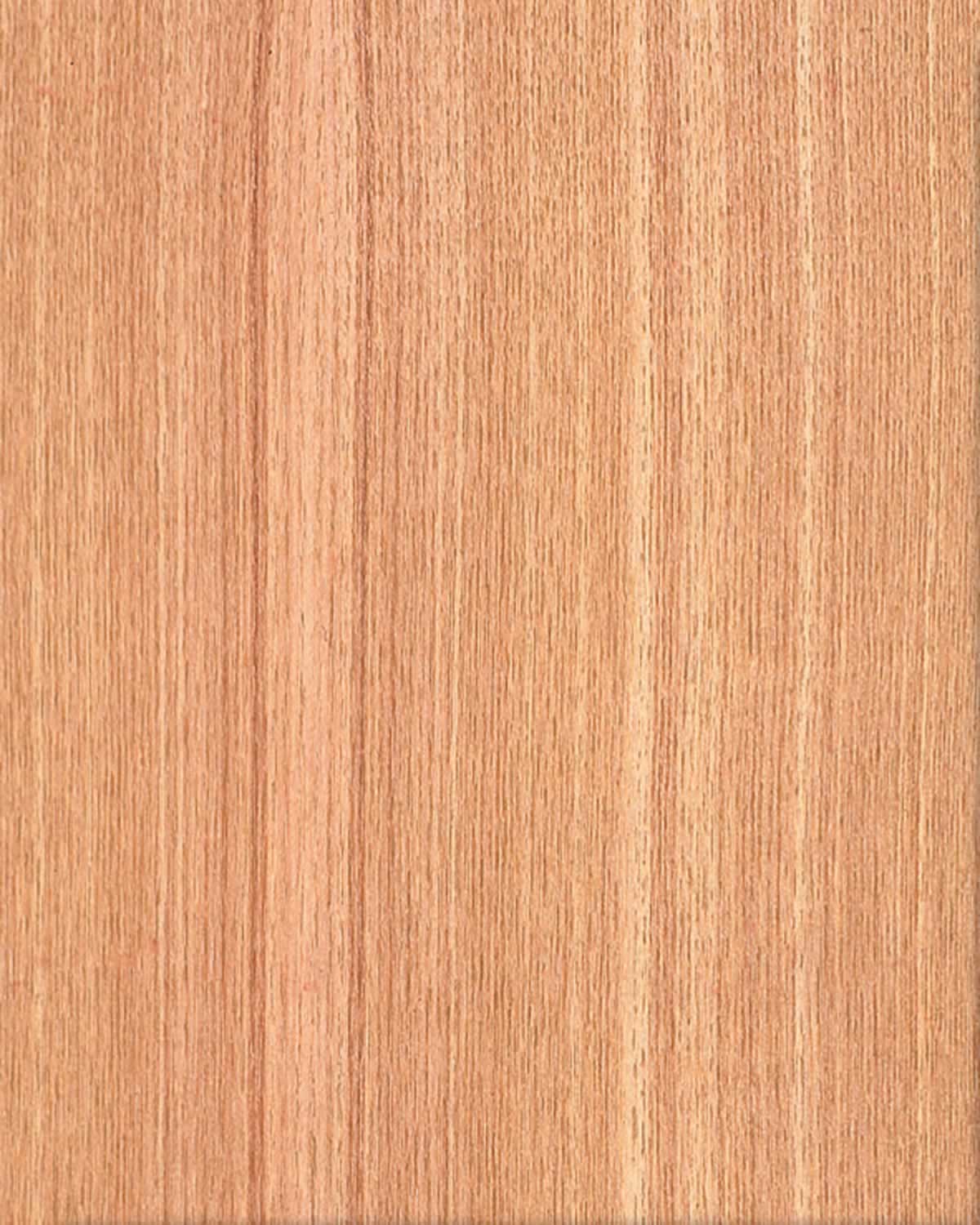 Japanese Ash QC