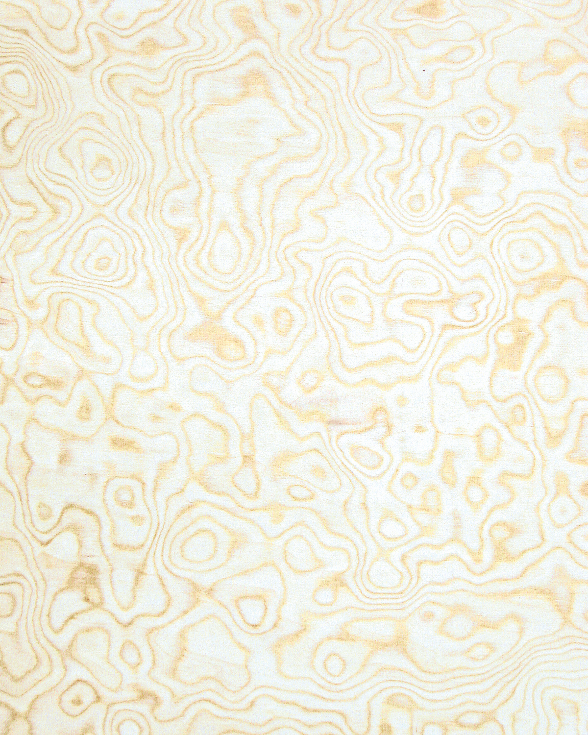 Aspen Burl