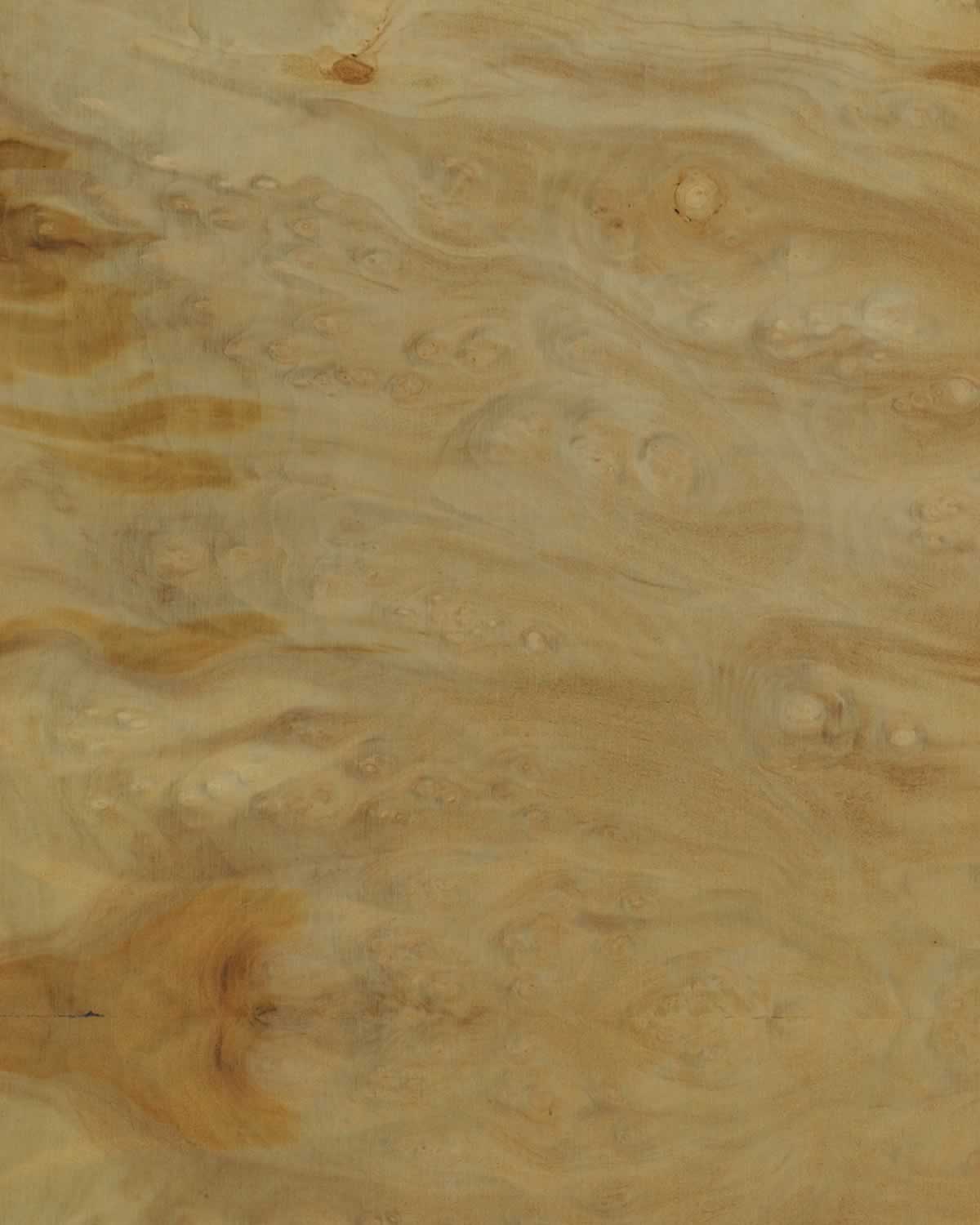 Laurel Burl