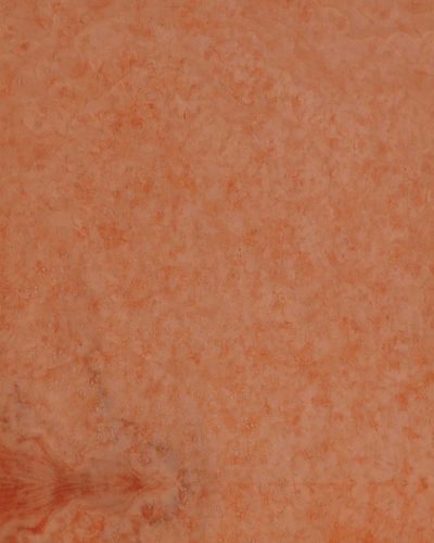 Madrone Burl