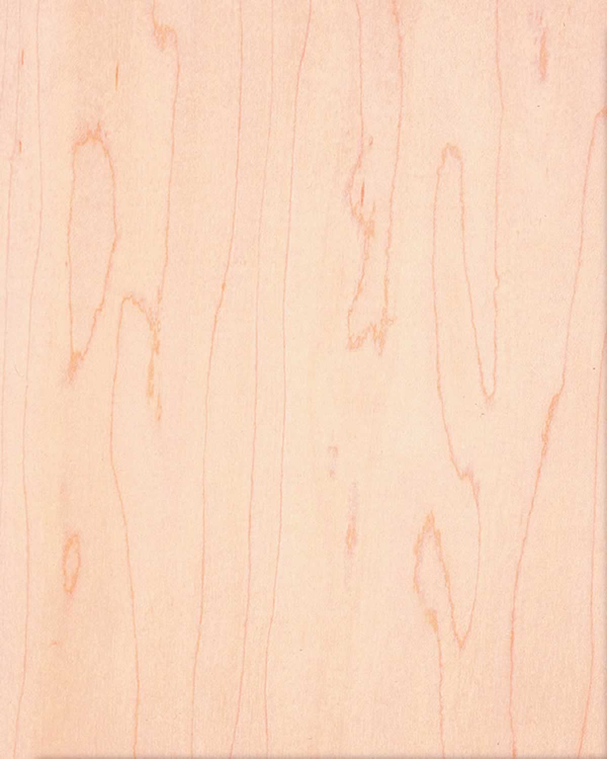 Maple Rotary Cut