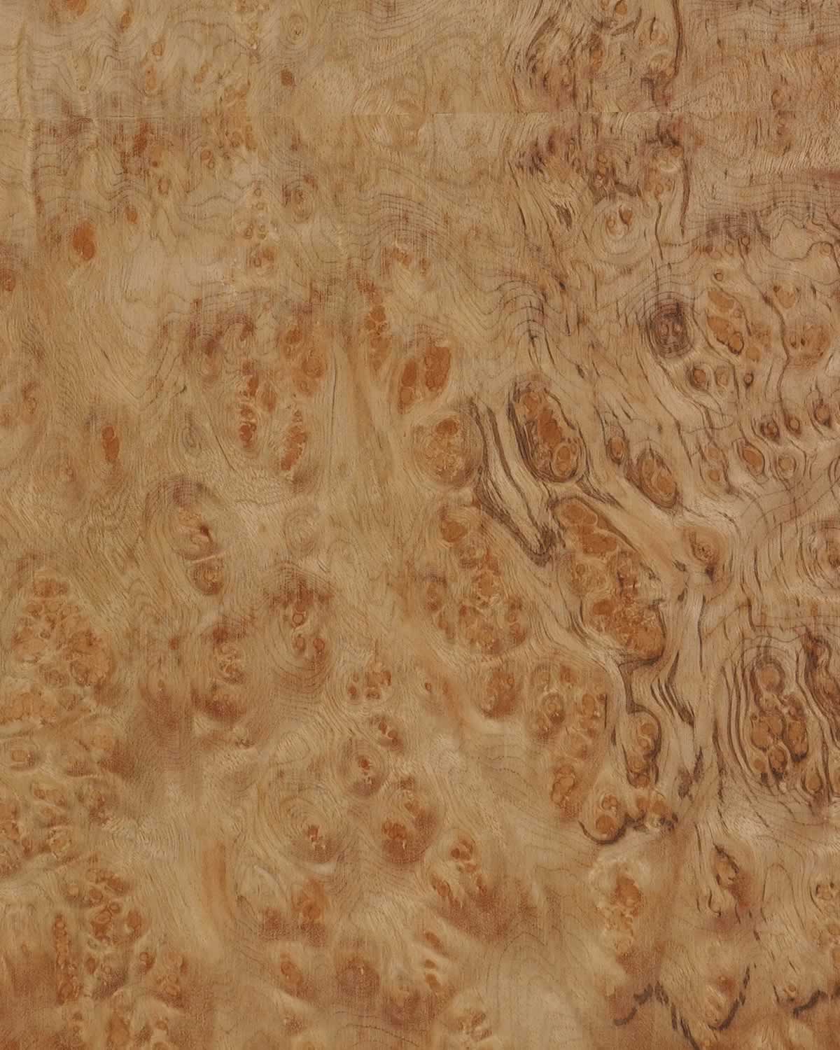 Marblewood Burl