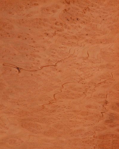 Redwood Burl