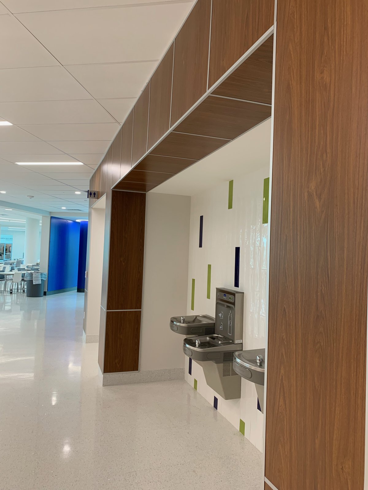 College of Osteopathic Medicine